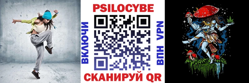 Псилоцибиновые грибы Psilocybine cubensis где продают Кашин